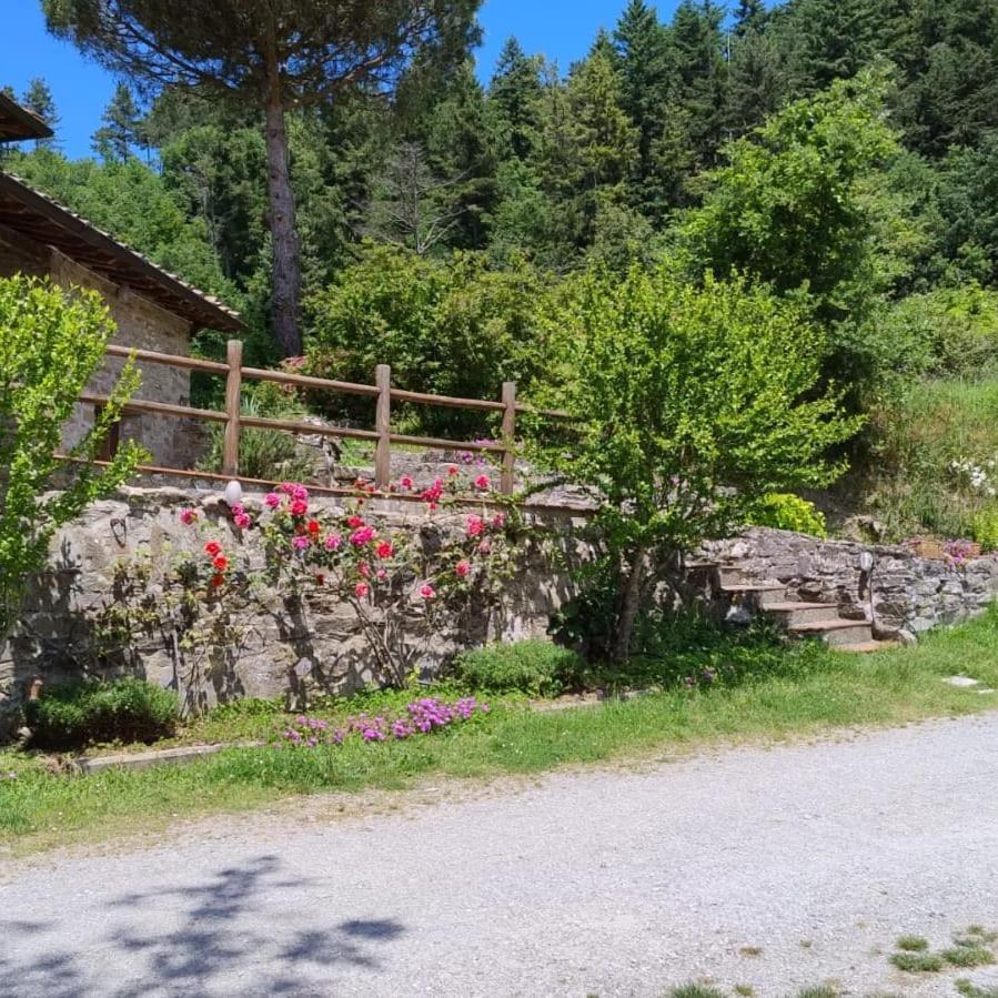 Fattoria Di Cintoia Villa Pontassieve Exterior photo