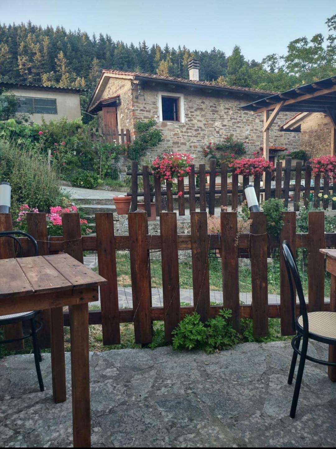 Fattoria Di Cintoia Villa Pontassieve Exterior photo