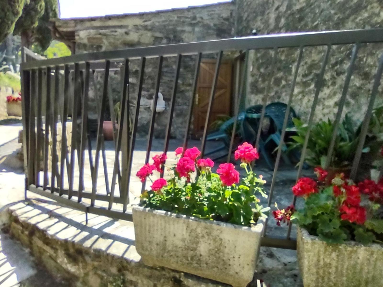 Fattoria Di Cintoia Villa Pontassieve Exterior photo