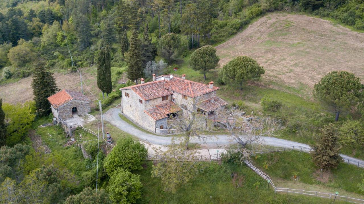 Fattoria Di Cintoia Villa Pontassieve Exterior photo