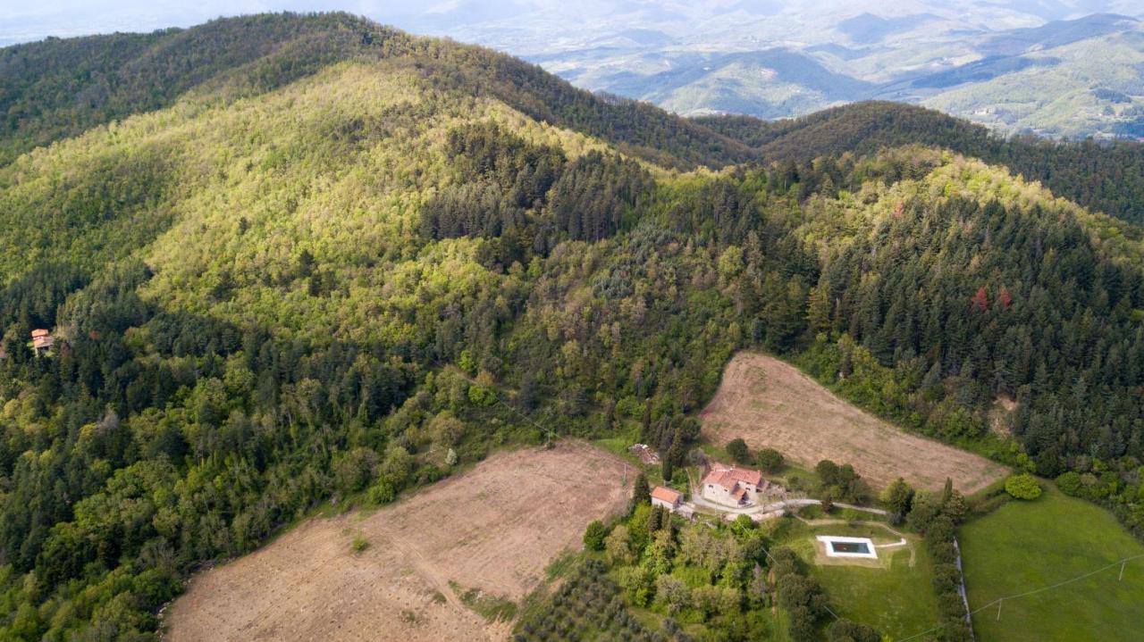 Fattoria Di Cintoia Villa Pontassieve Exterior photo