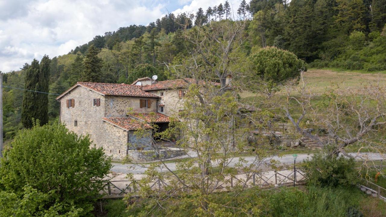 Fattoria Di Cintoia Villa Pontassieve Exterior photo